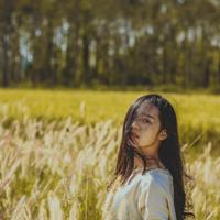 关于坚强的名言名句,意志坚强的名言警句