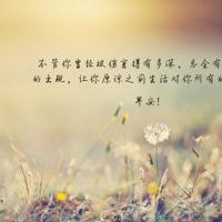 不再执著,寻找自己的踏实