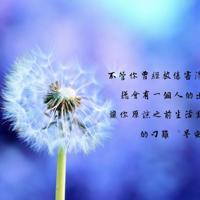 校园爱情故事：对不起，我曾喜欢过你