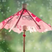 常常躲在角落泪流满面，总是不敢靠近。心碎的句子