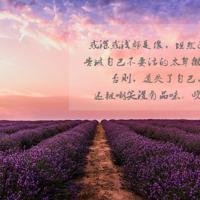 表达兄弟情深的句子38条