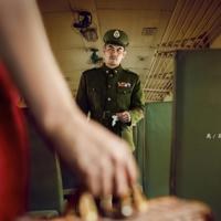 凝望一朵花的盛开