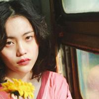 透明墙(一只鼹鼠和一只松鼠)的实验