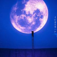 为了梦想与生活，我们四处寻觅