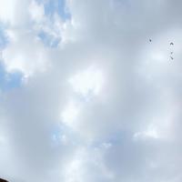 微笑着,生命充满阳光