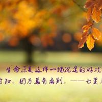 女人口述：我一个人的生活