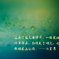 黑色童话之小屋奇遇