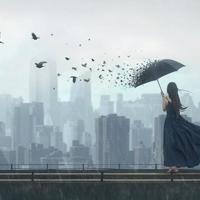 讲述旅华故事 感受中国魅力