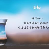 超简短正能量语录必看