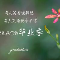 感觉很不错的饶雪漫语录希望大家能喜欢