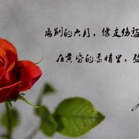 追忆昔年之故乡