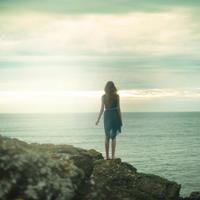 这一年，无法熔断的岁月