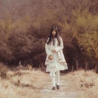 感受春天的美丽