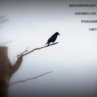 山水一程，与爱相逢