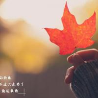 搞笑滴冷言囧语俏皮话