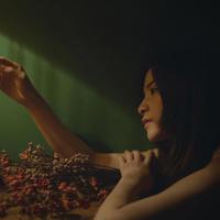 民航剧真实性多高?《中国机长》《壮志高飞》《九千米爱情》讲述不同机长故事