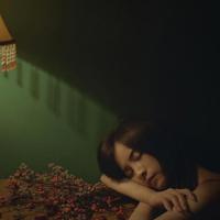 白鹤灵芝能散文