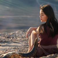 18句正能量的句子,送给永不言弃的你