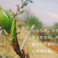 2019年基层团支部主题团日活动总结