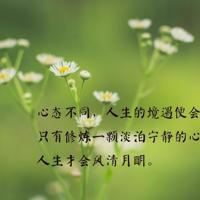 唯美意境深爱文字美图_深爱告白的唯美文字