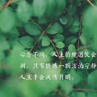 没有期望，才能做到不失望。关于兔斯基的个性语录