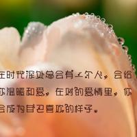 爱情文字控图片 爱情没有早晚 只有对错