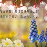 春暖花开——海子的浪漫诗