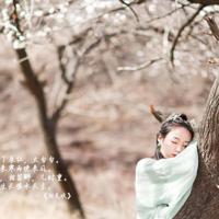 那一碗幸福的软饭