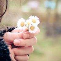 初中抒情散文:感悟青春