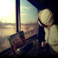 别在冬天里砍树