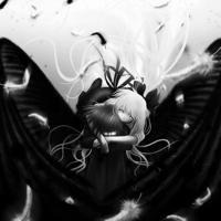 微博里的追求者