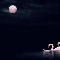 小事一桩散文欣赏