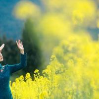 这顿饭让您等了那么久