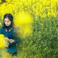 唯美紫色薰衣草意境图片_美丽梦幻的薰衣草