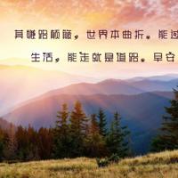 追爱路上,我偏要勉强