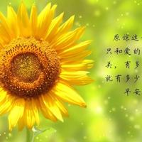 美德如巢,筑在人心