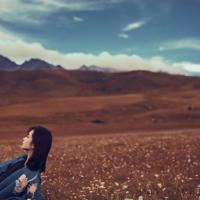 执着与放弃,释怀心情