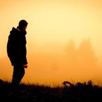 猎鹰是怎么样熬成的？就是这样熬成的