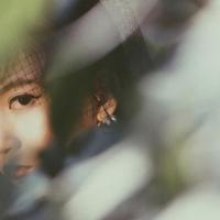 关于感恩的美文美句摘抄
