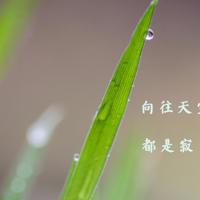 与其相信爱情，不如相信时间