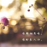 我喜欢你，无关风月
