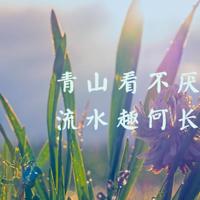 唯美幸福圣诞节图片_祝福最好的时光