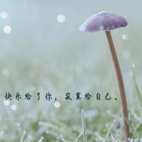 遗照里的叹息声