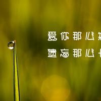 顾黎:有时候,最难放下的是一些你从没真正