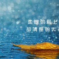 妈妈的爱,点亮儿子心中一方天空