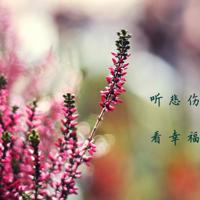 孟子的一句有道理的诗句大全/孟子短句