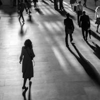 暗恋是条寂寞的青藤