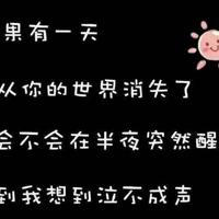 从猫身上悟到的爱情