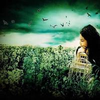 人生,没有回头路;感情,无法删除重启