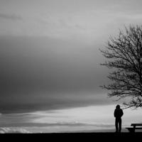 一笺心事共花香